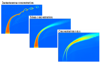 Mixing study in Gases by LIF